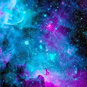 Meet your Posher, Gage