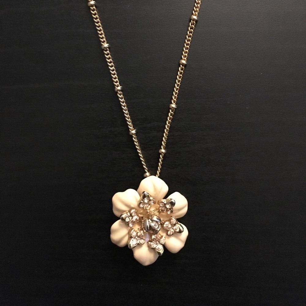 Ann Taylor Fiore Pendant