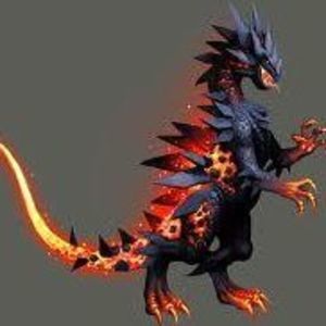 Meet your Posher, Eloise