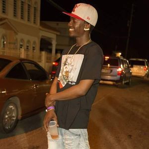 Meet your Posher, Bambi