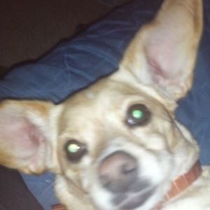 Meet your Posher, Xavier