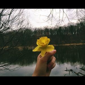 Meet your Posher, Alice