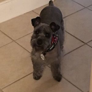 Meet your Posher, Ryan