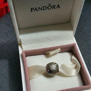 Authentic Pandora Charm