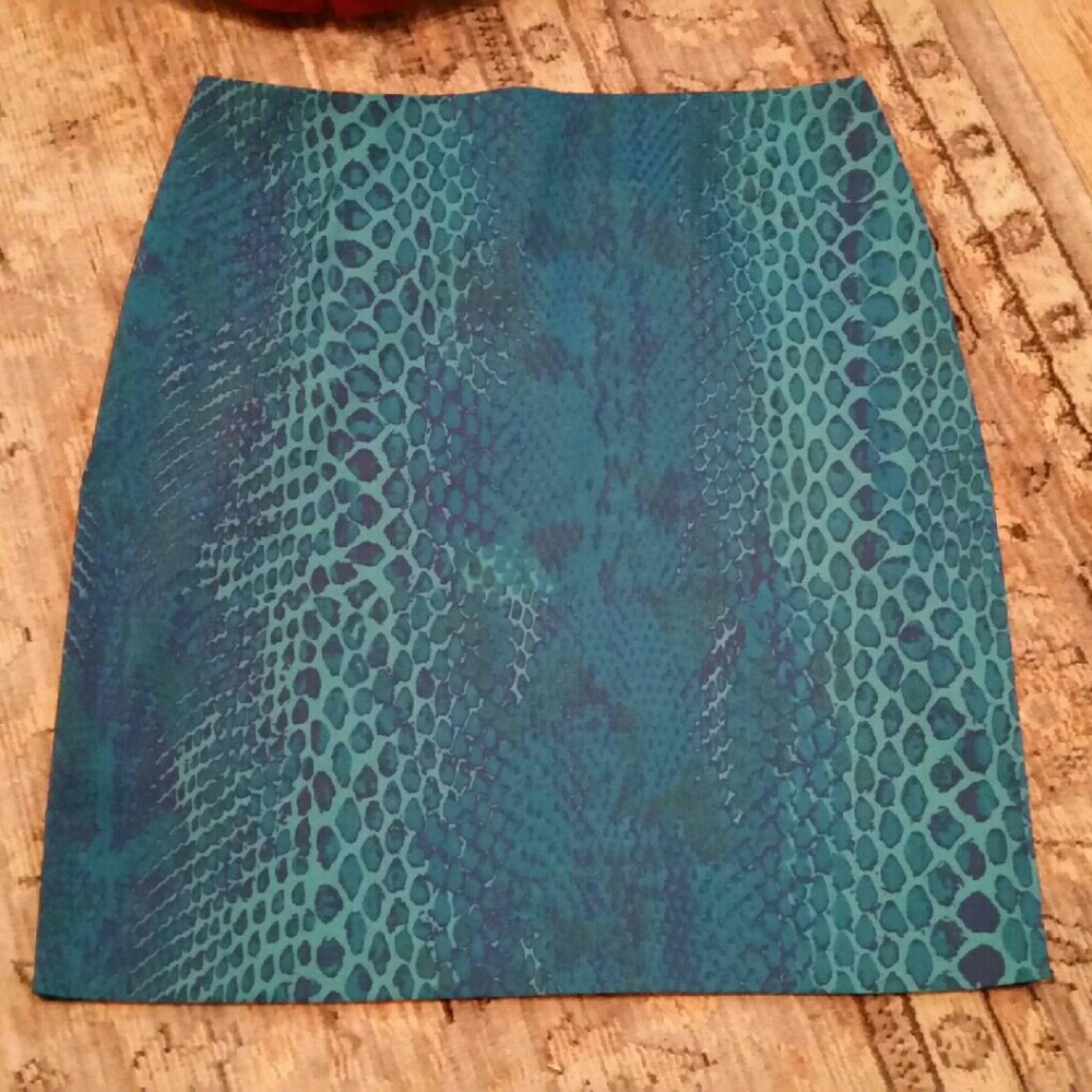 Express Pencil Skirt
