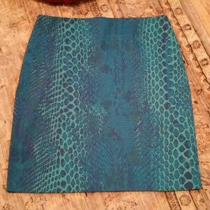 Express Pencil Skirt