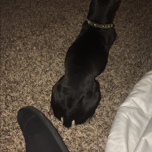 Meet your Posher, Breanna