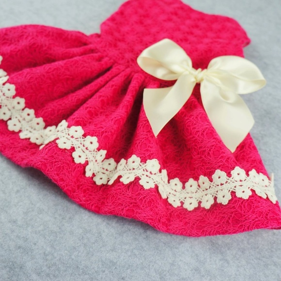 Pink Dress with Lace Ribbon Pet Clothing - Picture 3 of 6
