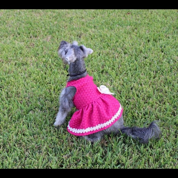 Pink Dress with Lace Ribbon Pet Clothing - Picture 5 of 6