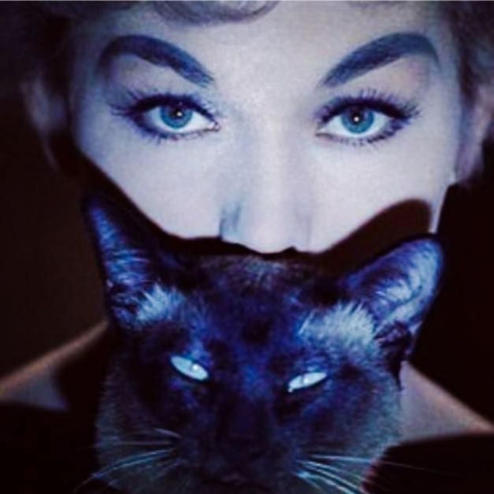 Meet your Posher, Meridith