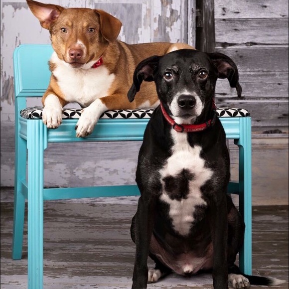 Meet The Posher - Suggested User!! - Picture 2 of 3