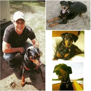 Meet your Posher, Todd