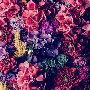 Meet your Posher, Julia