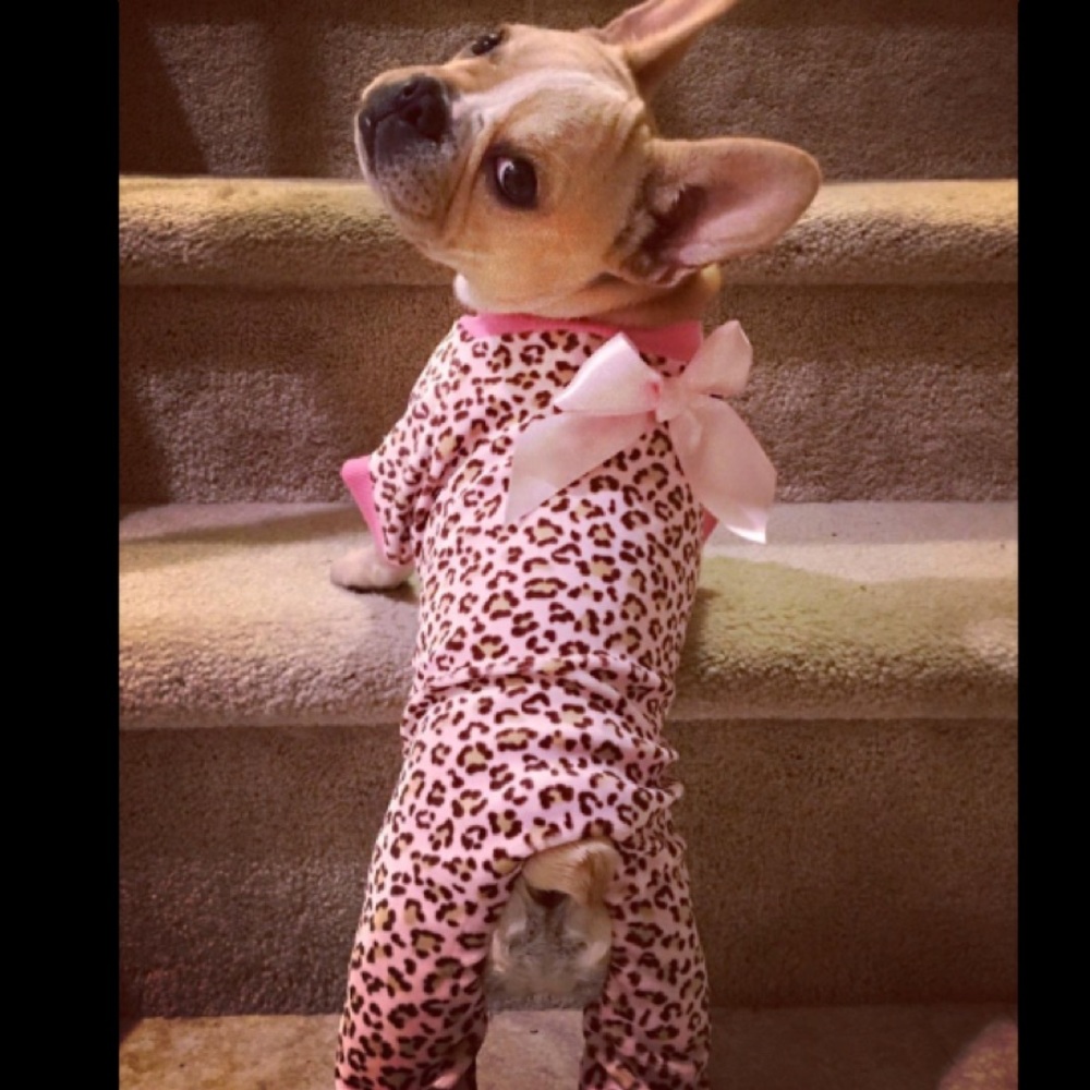 Leopard Print Pajamas Pet Clothing