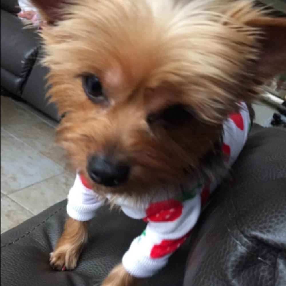 Strawberry Pajama Jumpsuit Pet Clothing