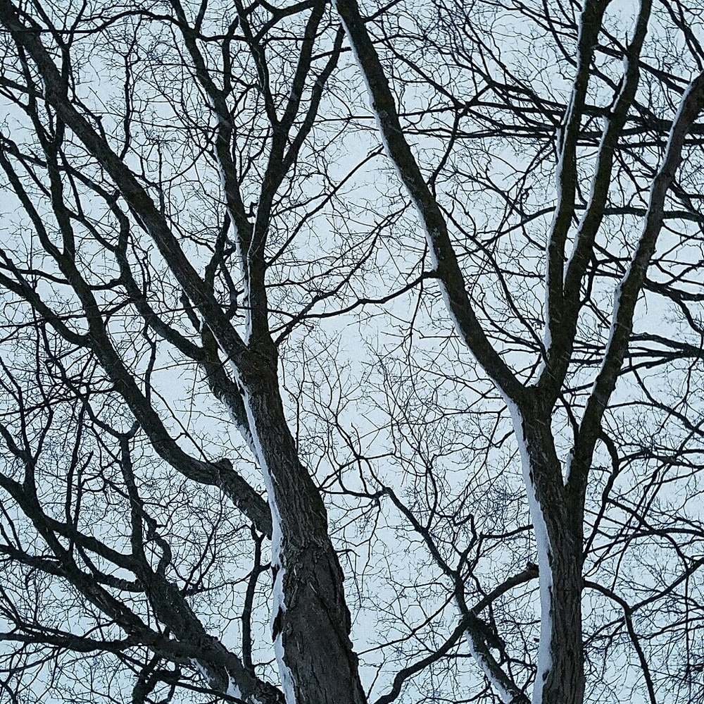 Meet your Posher, Kam