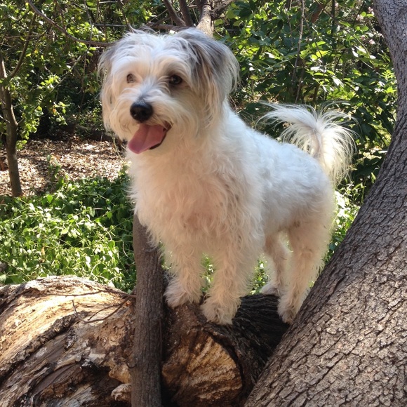 Meet the Posher - Picture 4 of 5