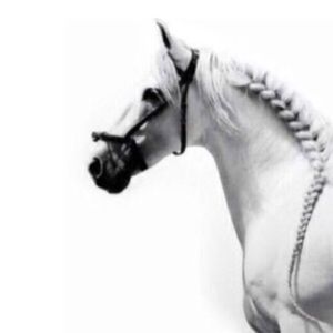 Meet your Posher, Amjad