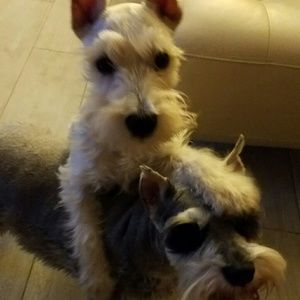 Meet your Posher, Joseline