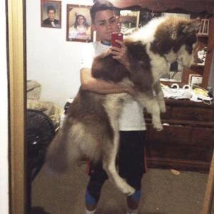 Meet your Posher, Javier