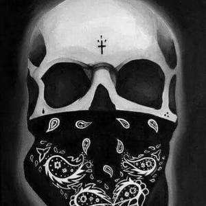 Meet your Posher, Roy