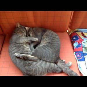 Meet your Posher, Alana