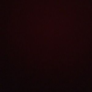 Meet your Posher, Jasper