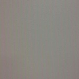 Meet your Posher, Sheena