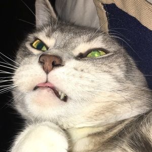 Meet your Posher, Chloe