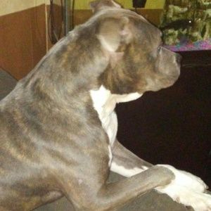 Meet your Posher, Andre