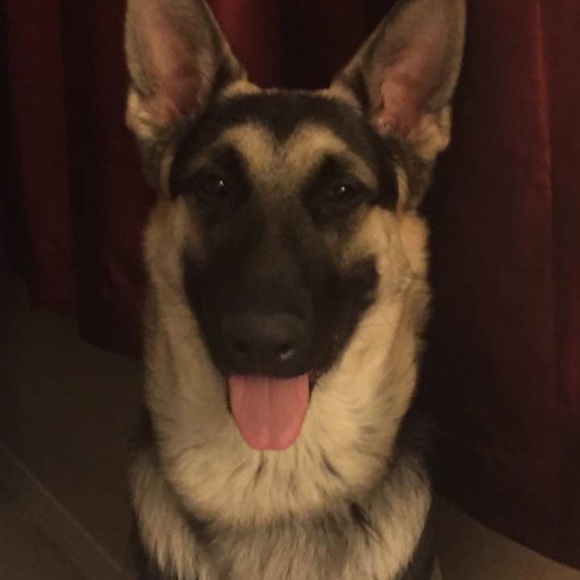 Meet your Posher, Melanie - Picture 4 of 7