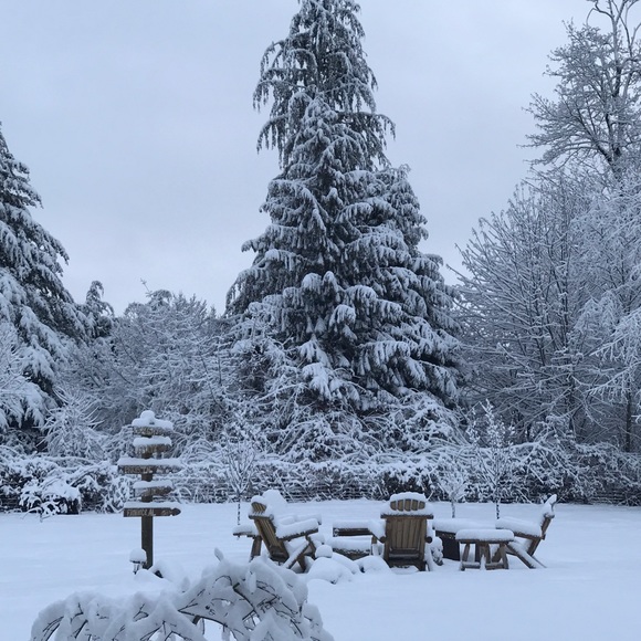 Meet your Posher, Julie - Picture 1 of 1