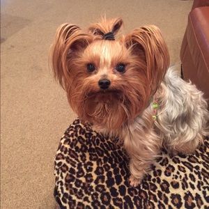 Meet your Posher, Brooke