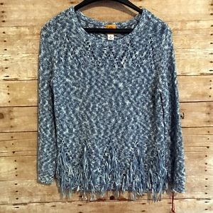 NWT Blue and White Sweater