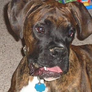 Meet your Posher, Tracie