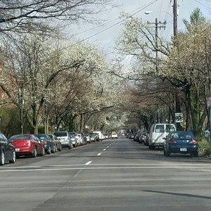 Meet your Posher, Inna