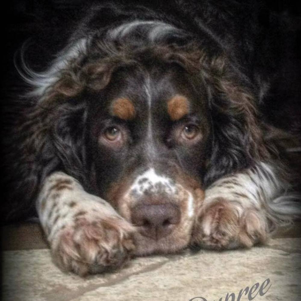 Meet your Posher, Deborah