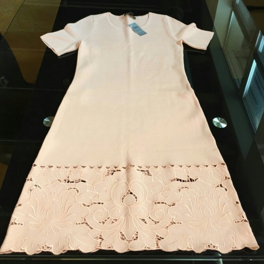 Ann Taylor Lace Hem Sweaterdress Pink PM