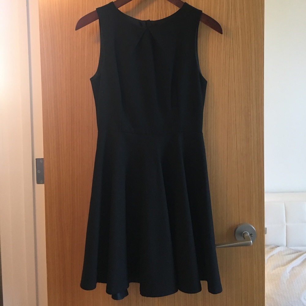 Zara Skater Dress