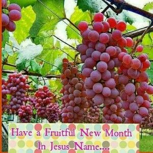 Meet your Posher, Phill