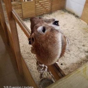 Meet your Posher, Cindy