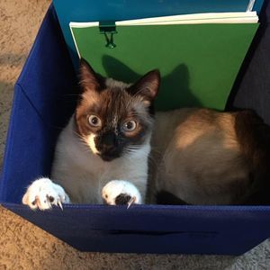 Meet your Posher, Jean