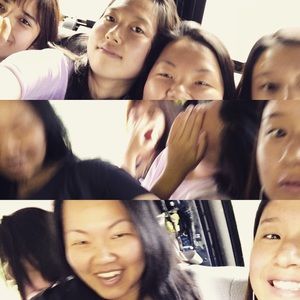 Meet your Posher, Grey