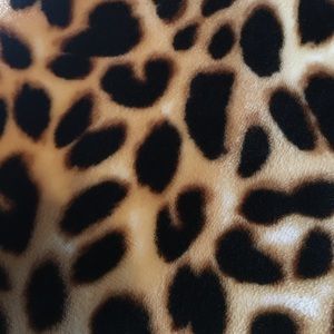 Meet your Posher, Madelynn