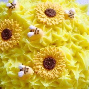 Meet your Posher, Ellen