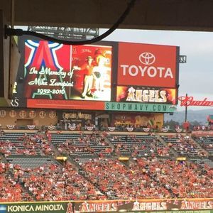 Meet your Posher, Gina