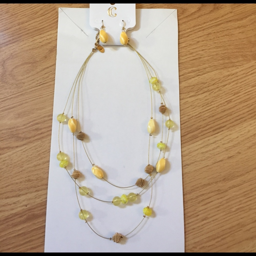 CHARMING CHARLIE NECAVE AND EARRING SET!