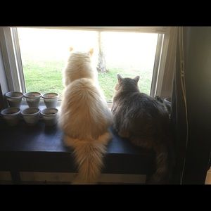 Meet your Posher, Madisen