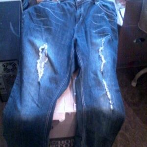 WOMENS YMI RIPPED DENIM'S