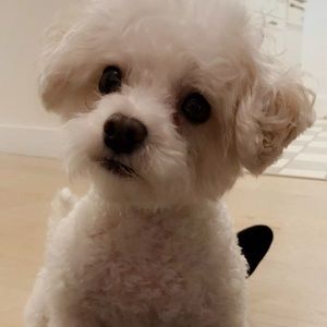 Meet your Posher, Jenna